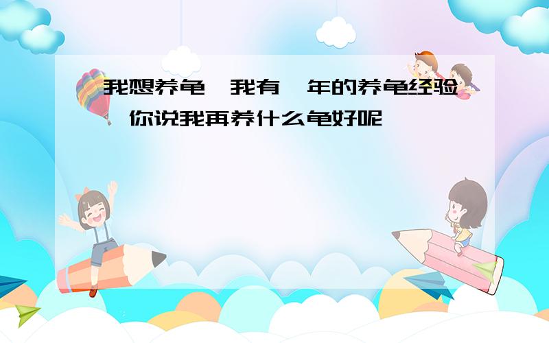 我想养龟,我有一年的养龟经验,你说我再养什么龟好呢