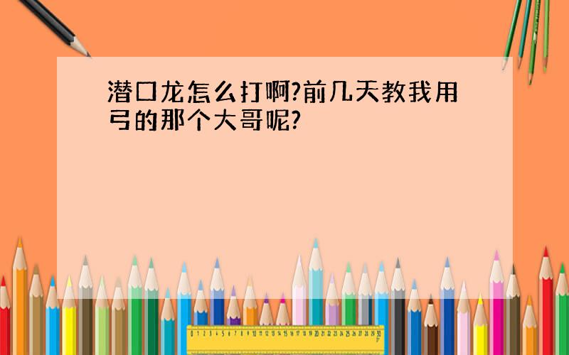 潜口龙怎么打啊?前几天教我用弓的那个大哥呢?