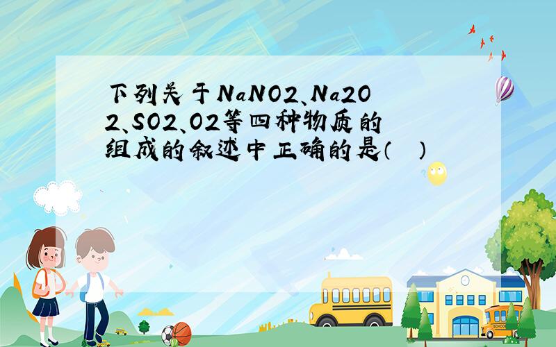 下列关于NaNO2、Na2O2、SO2、O2等四种物质的组成的叙述中正确的是（　　）