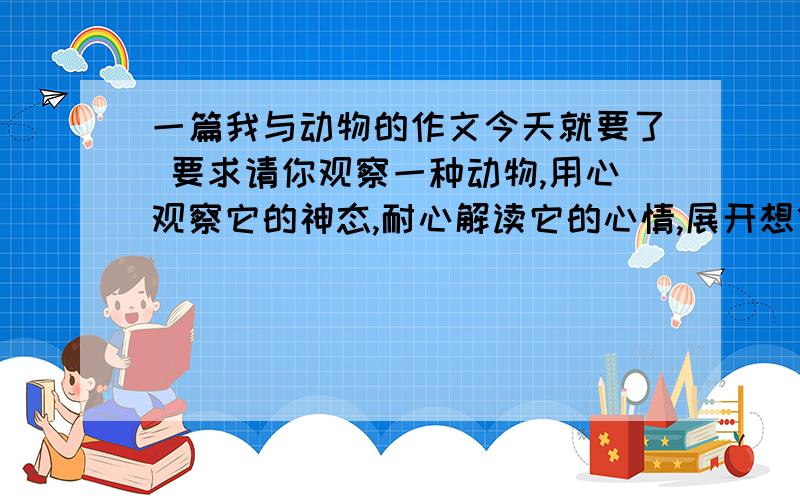 一篇我与动物的作文今天就要了 要求请你观察一种动物,用心观察它的神态,耐心解读它的心情,展开想像,运用联想,把你和它之间