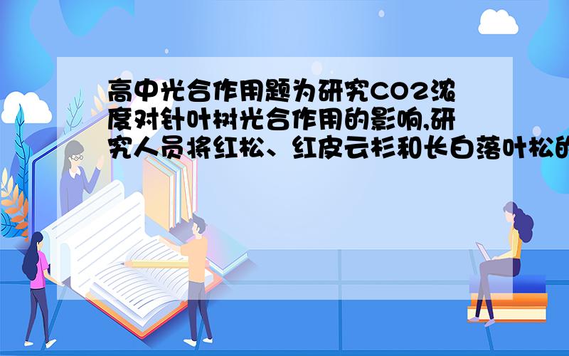 高中光合作用题为研究CO2浓度对针叶树光合作用的影响,研究人员将红松、红皮云杉和长白落叶松的幼苗盆栽于模拟自然光照和人工