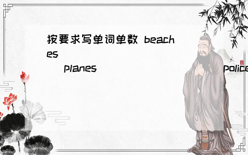 按要求写单词单数 beaches ____________ planes __________ policemen___