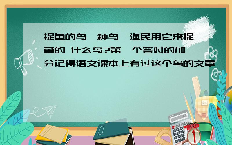 捉鱼的鸟一种鸟,渔民用它来捉鱼的 什么鸟?第一个答对的加分记得语文课本上有过这个鸟的文章