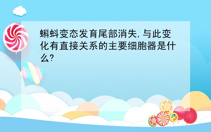 蝌蚪变态发育尾部消失,与此变化有直接关系的主要细胞器是什么?