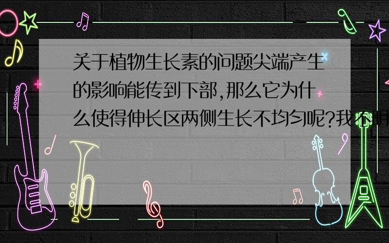 关于植物生长素的问题尖端产生的影响能传到下部,那么它为什么使得伸长区两侧生长不均匀呢?我不明白为什么生长素会分布不均匀。