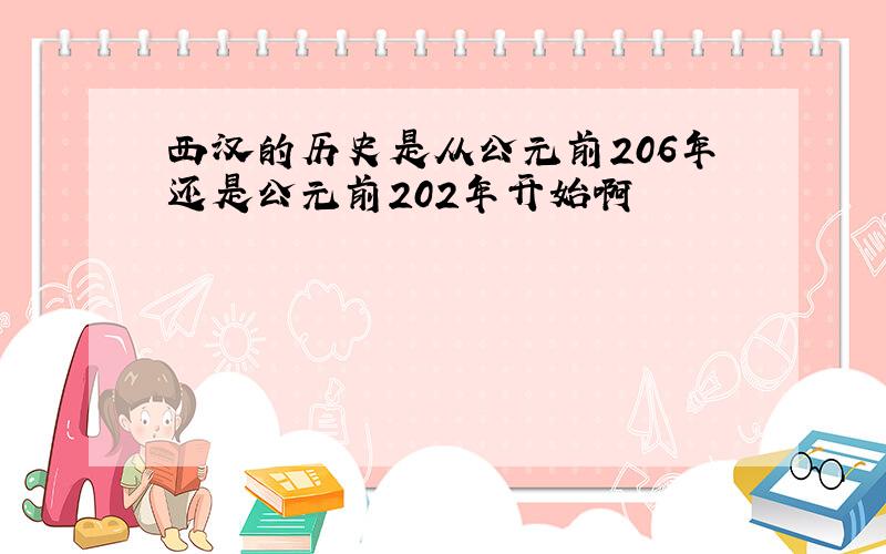 西汉的历史是从公元前206年还是公元前202年开始啊