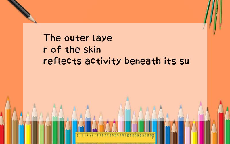 The outer layer of the skin reflects activity beneath its su