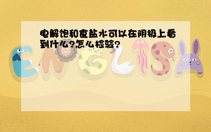 电解饱和食盐水可以在阴极上看到什么?怎么检验?