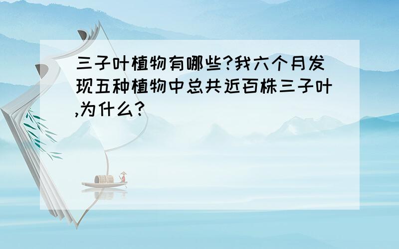 三子叶植物有哪些?我六个月发现五种植物中总共近百株三子叶,为什么?