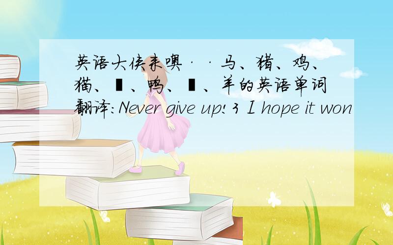 英语大侠来噢··马、猪、鸡、猫、豿、鸭、兎、羊的英语单词翻译：Never give up!3 I hope it won