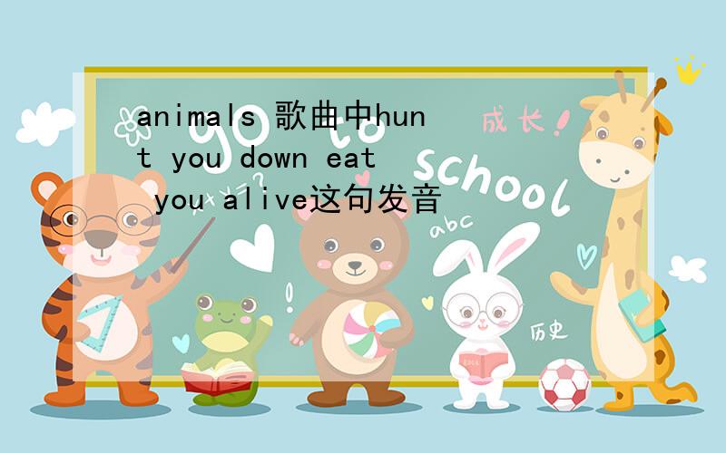 animals 歌曲中hunt you down eat you alive这句发音