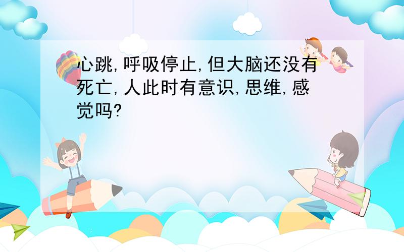 心跳,呼吸停止,但大脑还没有死亡,人此时有意识,思维,感觉吗?