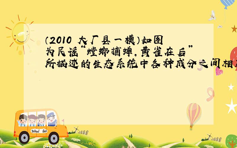 （2010•大厂县一模）如图为民谣“螳螂捕蝉，黄雀在后”所描述的生态系统中各种成分之间相互依存的关系图，请据图回答：