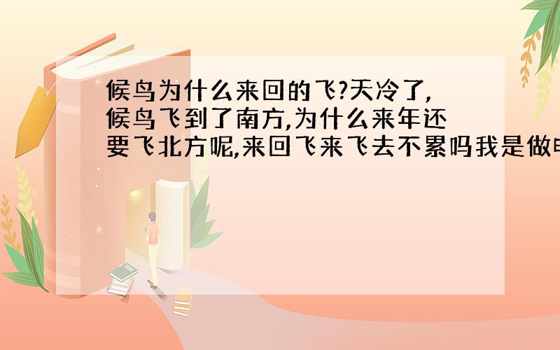 候鸟为什么来回的飞?天冷了,候鸟飞到了南方,为什么来年还要飞北方呢,来回飞来飞去不累吗我是做电子技术的，业余的很，就直观