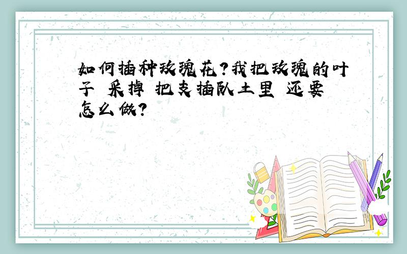 如何插种玫瑰花?我把玫瑰的叶子 采掉 把支插队土里 还要怎么做?