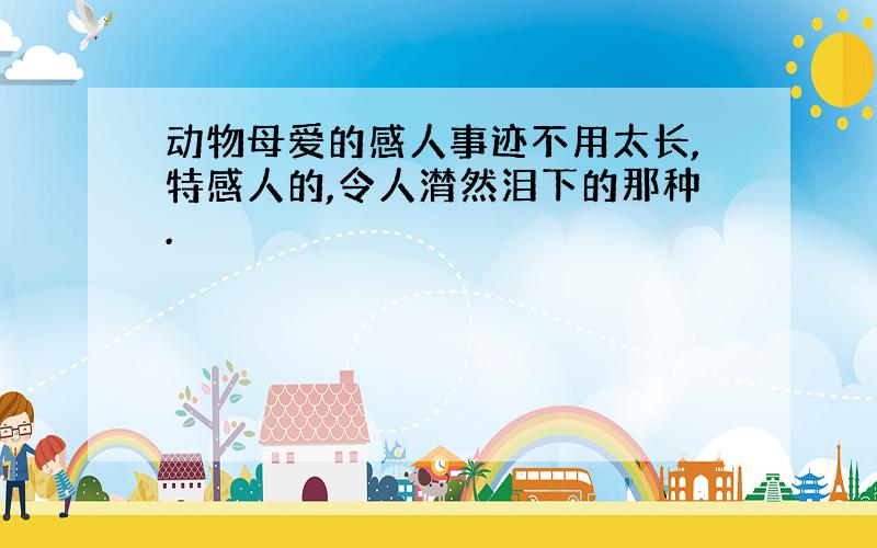 动物母爱的感人事迹不用太长,特感人的,令人潸然泪下的那种.