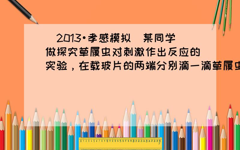 （2013•孝感模拟）某同学做探究草履虫对刺激作出反应的实验，在载玻片的两端分别滴一滴草履虫培养液，用滴管把两滴培养液连