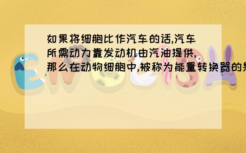 如果将细胞比作汽车的话,汽车所需动力靠发动机由汽油提供,那么在动物细胞中,被称为能量转换器的是【 】{有俩空)