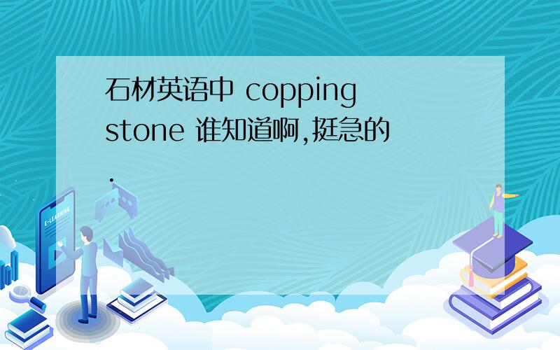 石材英语中 copping stone 谁知道啊,挺急的.