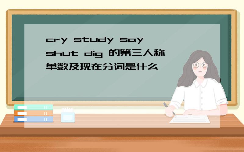 cry study say shut dig 的第三人称单数及现在分词是什么