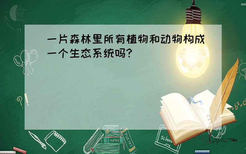 一片森林里所有植物和动物构成一个生态系统吗?