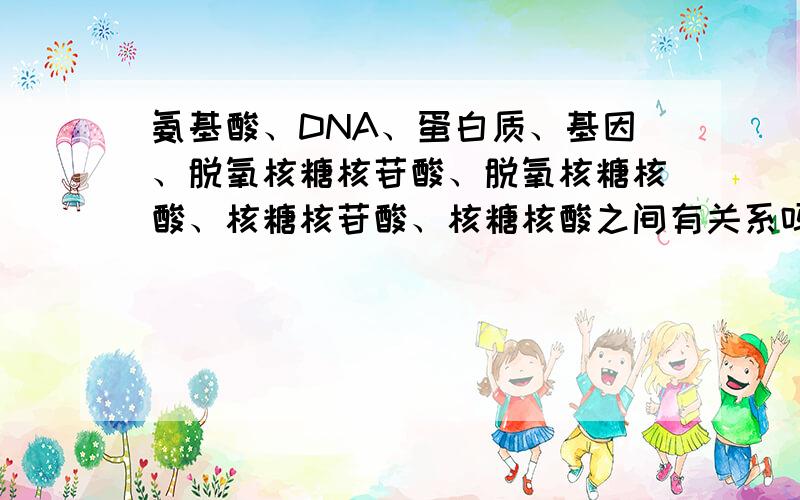 氨基酸、DNA、蛋白质、基因、脱氧核糖核苷酸、脱氧核糖核酸、核糖核苷酸、核糖核酸之间有关系吗?