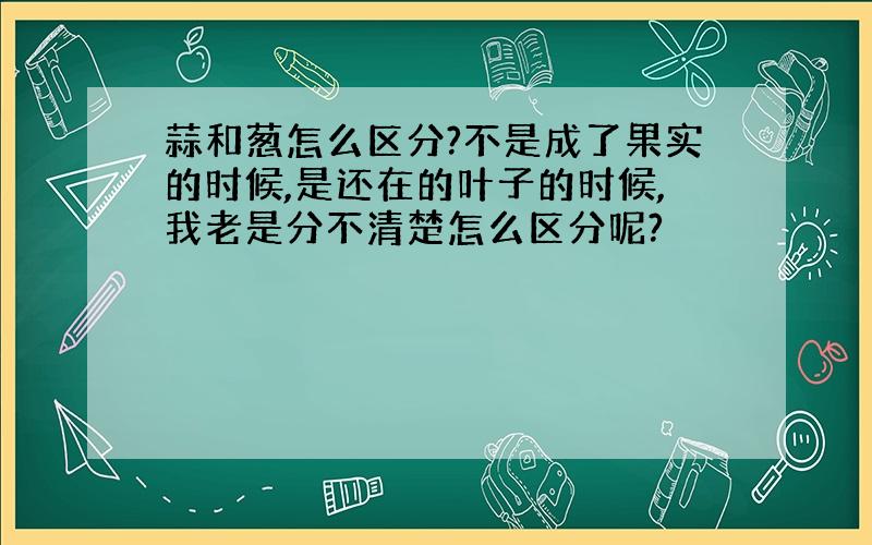 蒜和葱怎么区分?不是成了果实的时候,是还在的叶子的时候,我老是分不清楚怎么区分呢?