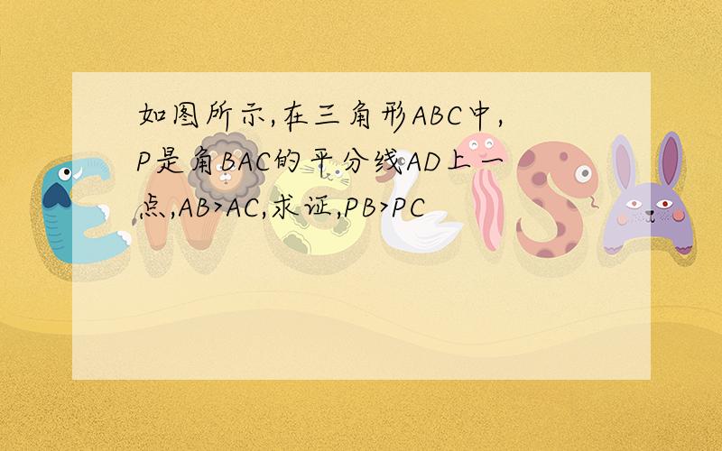 如图所示,在三角形ABC中,P是角BAC的平分线AD上一点,AB>AC,求证,PB>PC