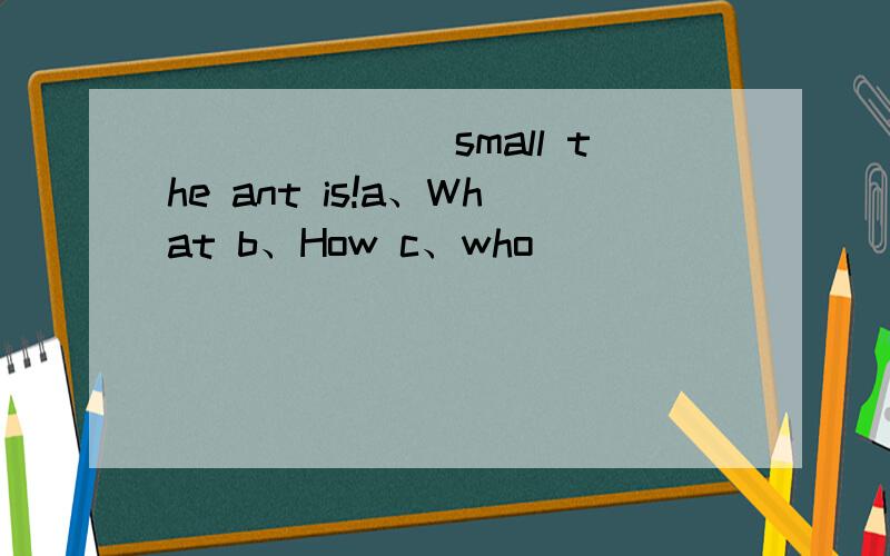 _______small the ant is!a、What b、How c、who