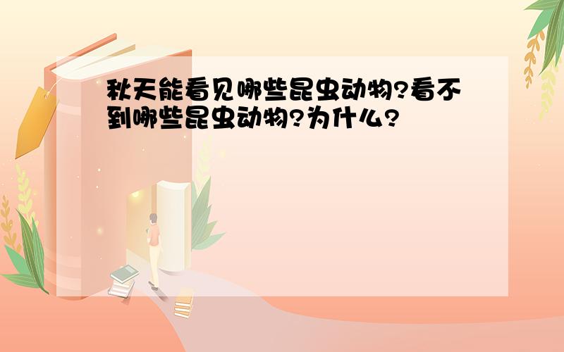 秋天能看见哪些昆虫动物?看不到哪些昆虫动物?为什么?