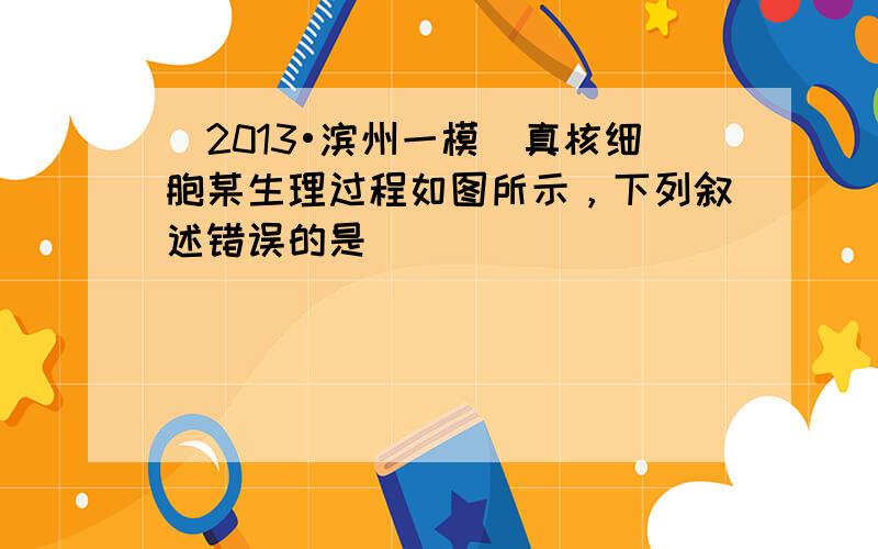 （2013•滨州一模）真核细胞某生理过程如图所示，下列叙述错误的是（　　）