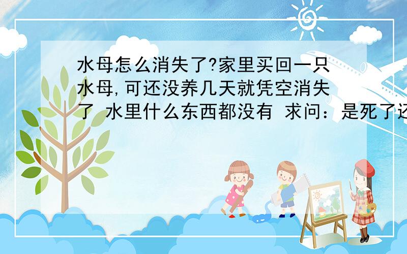 水母怎么消失了?家里买回一只水母,可还没养几天就凭空消失了 水里什么东西都没有 求问：是死了还是咋地?