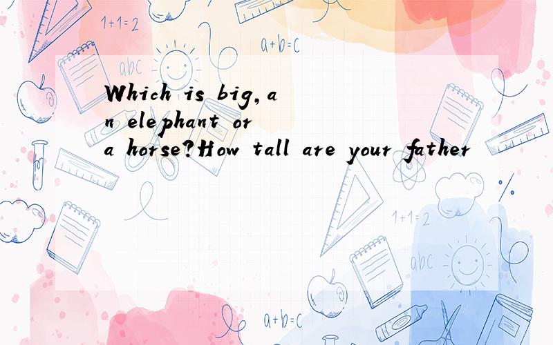 Which is big,an elephant or a horse?How tall are your father