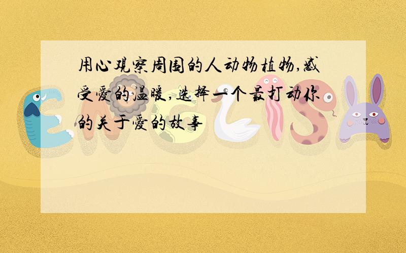 用心观察周围的人动物植物,感受爱的温暖,选择一个最打动你的关于爱的故事