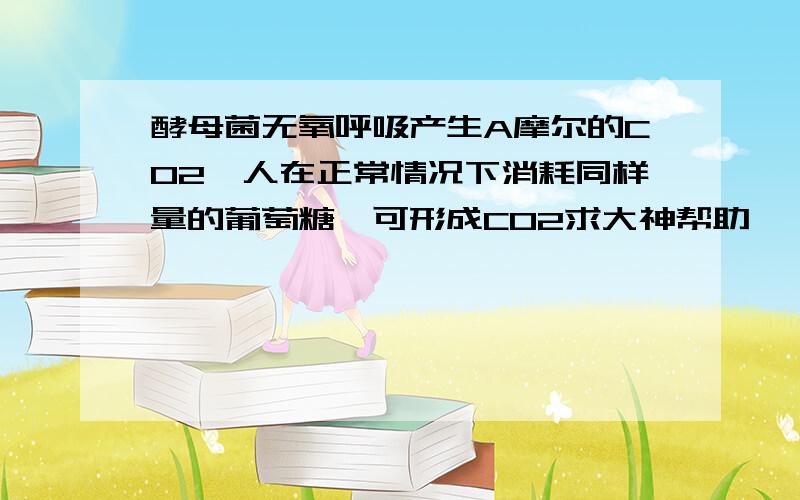 酵母菌无氧呼吸产生A摩尔的CO2,人在正常情况下消耗同样量的葡萄糖,可形成CO2求大神帮助