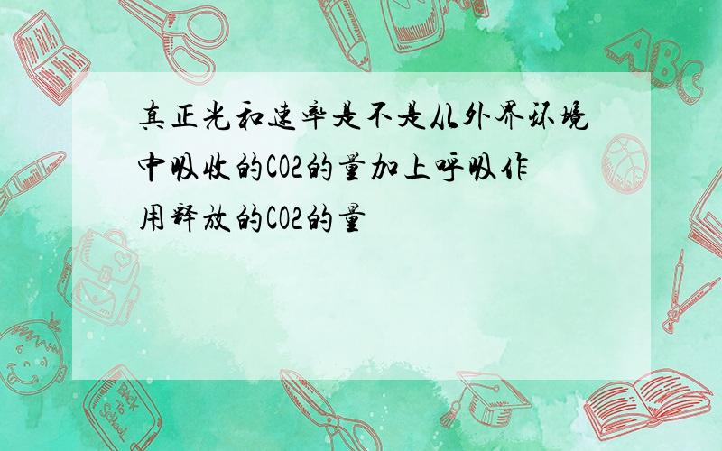 真正光和速率是不是从外界环境中吸收的CO2的量加上呼吸作用释放的CO2的量