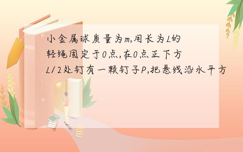 小金属球质量为m,用长为L的轻绳固定于0点,在0点正下方L/2处钉有一颗钉子P,把悬线沿水平方