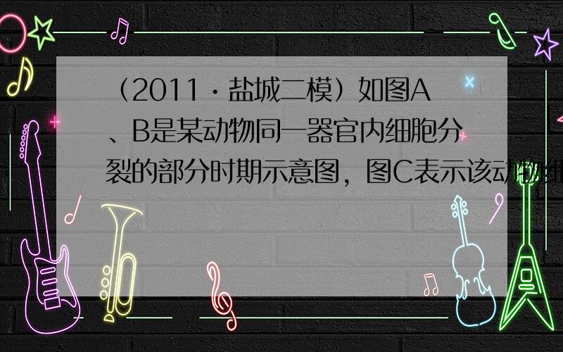 （2011•盐城二模）如图A、B是某动物同一器官内细胞分裂的部分时期示意图，图C表示该动物细胞分裂时核DNA数量变化曲线