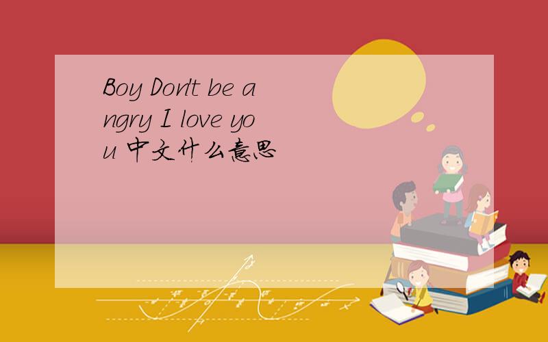 Boy Don't be angry I love you 中文什么意思