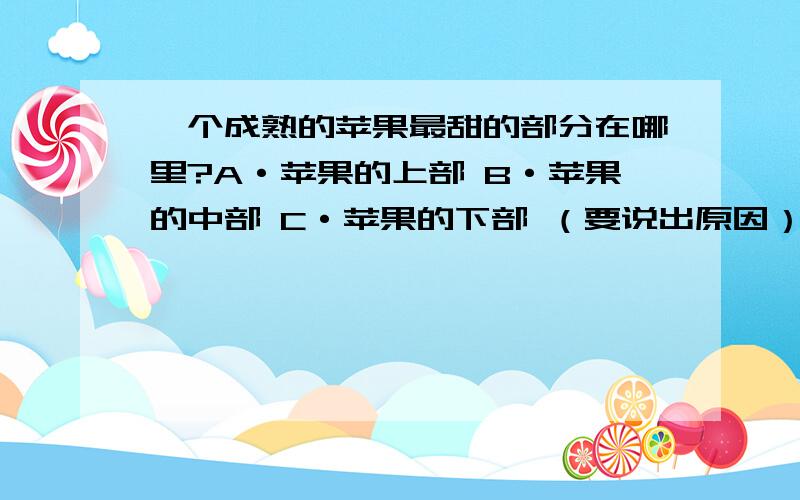 一个成熟的苹果最甜的部分在哪里?A·苹果的上部 B·苹果的中部 C·苹果的下部 （要说出原因）