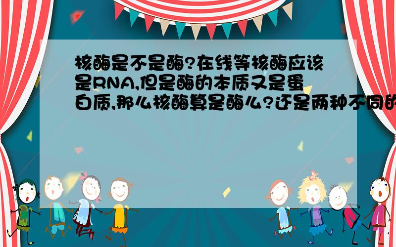 核酶是不是酶?在线等核酶应该是RNA,但是酶的本质又是蛋白质,那么核酶算是酶么?还是两种不同的东西?