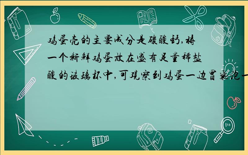 鸡蛋壳的主要成分是碳酸钙,将一个新鲜鸡蛋放在盛有足量稀盐酸的玻璃杯中,可观察到鸡蛋一边冒气泡一边沉到杯底,一会儿又慢慢上