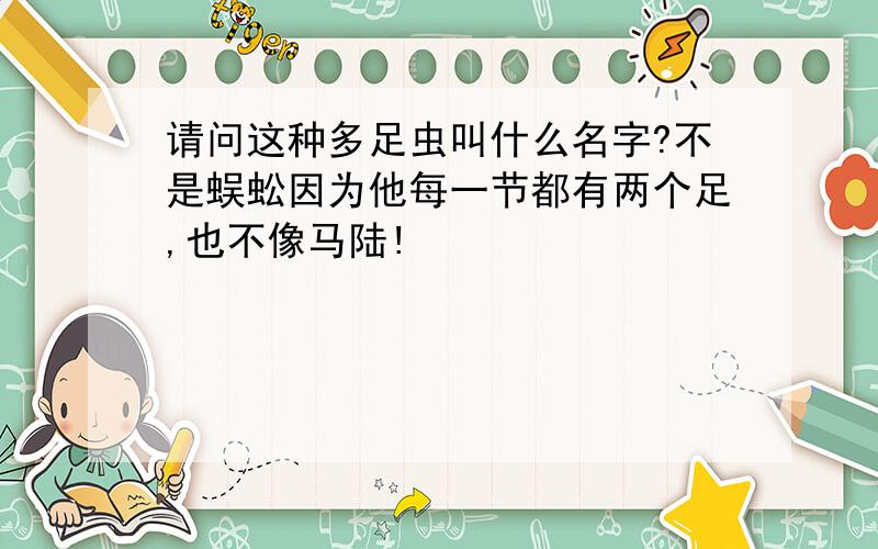 请问这种多足虫叫什么名字?不是蜈蚣因为他每一节都有两个足,也不像马陆!