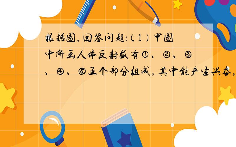 根据图，回答问题：（1）甲图中所画人体反射弧有①、②、③、④、⑤五个部分组成，其中能产生兴奋，并对传入的信息进行分析和综