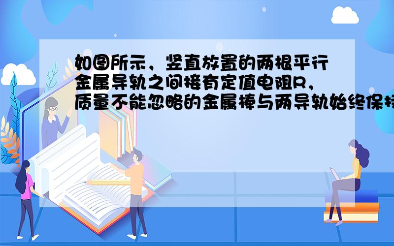 如图所示，竖直放置的两根平行金属导轨之间接有定值电阻R，质量不能忽略的金属棒与两导轨始终保持垂直并良好接触且无摩擦，棒与