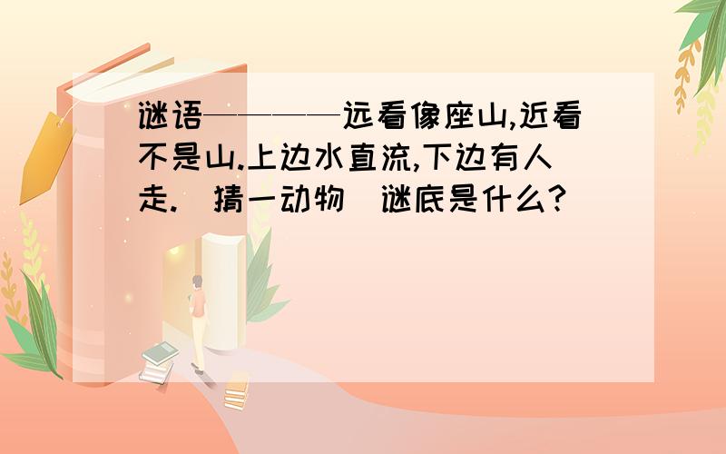 谜语————远看像座山,近看不是山.上边水直流,下边有人走.（猜一动物）谜底是什么?