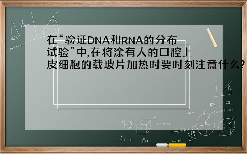 在“验证DNA和RNA的分布试验”中,在将涂有人的口腔上皮细胞的载玻片加热时要时刻注意什么?