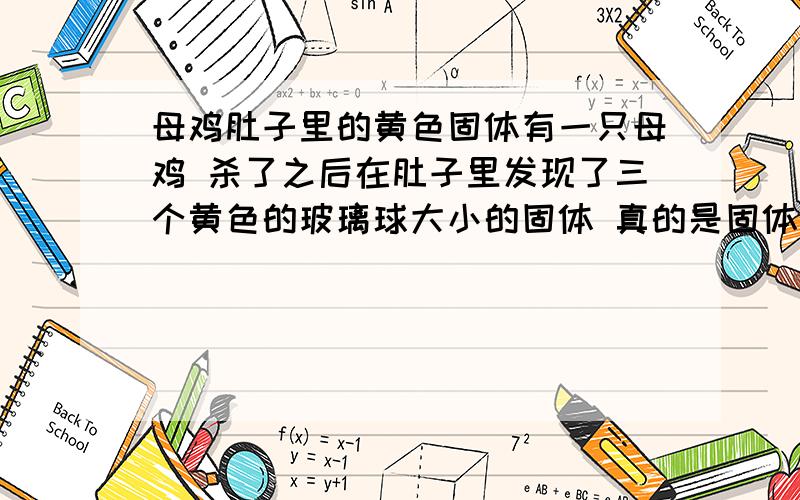 母鸡肚子里的黄色固体有一只母鸡 杀了之后在肚子里发现了三个黄色的玻璃球大小的固体 真的是固体 放了几天之后好像有点变小了