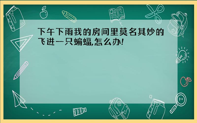 下午下雨我的房间里莫名其妙的飞进一只蝙蝠,怎么办!