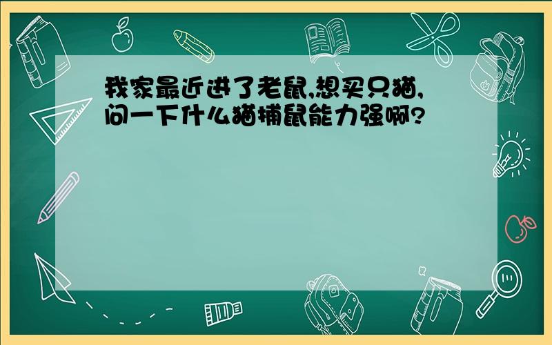 我家最近进了老鼠,想买只猫,问一下什么猫捕鼠能力强啊?